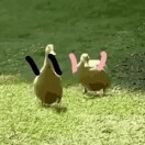 快乐的人