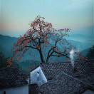 wx_王涛28