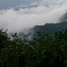 建安汇用户头像