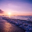 面朝大海