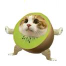 混的鼠的头像-梦马考研