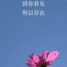 草莓