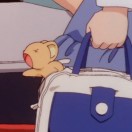 Profile picture of tong