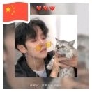 陈先生的头像