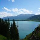 亚特兰大(佐治亚州)求租