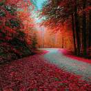 冷酷 的 星星的头像-工欲善其事，必先利其器宋辞云创