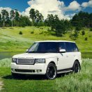 努力《唐老四果蔗15977947667》