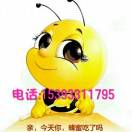 全兴蜂业