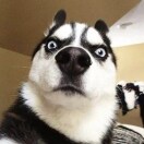 user_cq58t0kf24ddi2zz member profile picture