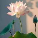 不发脾气只发财