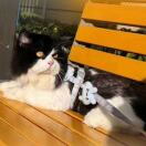 Jasper的头像-秀琴曲谱网