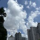 花好月明