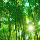 建安汇用户头像
