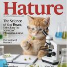 maplewood apartment转租&房东直租