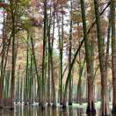 答卷人的头像-深度文库