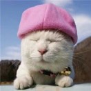 lezai2923's Avatar
