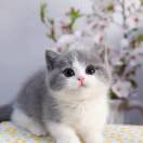 u客直谈实名认证刘先生