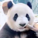 超大號(hào)鐵憨憨