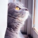 冉先生的头像
