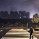 红鲤鱼与绿鲤鱼与驴