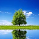 张文斌店主头像