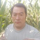 顺其自然