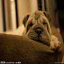 徐工潘武18652227302