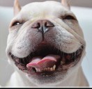 winston's Avatar