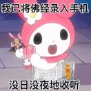 哒哒哒的珏妹