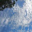 江湖独行客的头像-博士钣金 - www.bsbanjin.com