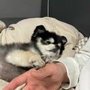 null转租&房东直租