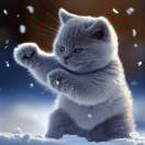 肥猫不是猫