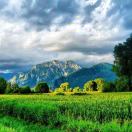 付津羽的头像-魔趣网精选