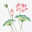 用户13736504的头像-可达鸭小栈