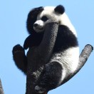 熔禧