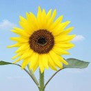 如嘉家居15898606939