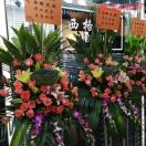 西格尼亚（金宝4A037）