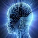 BILBILIK的头像-Bloger