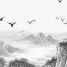 韦志浩的头像-熵减岛