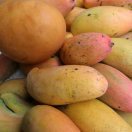 Jinjun的头像-熵减岛