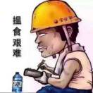 田女士的头像
