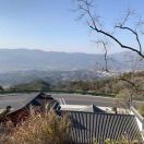 板栗的头像-秀琴曲谱网