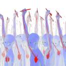 Tyndalls mansions转租&房东直租