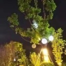 建安汇用户头像