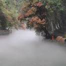 叶锋