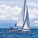 Nyleve的头像-熵减岛