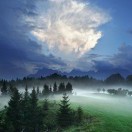 髁