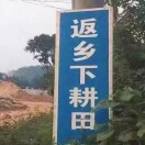 玩物丧志
