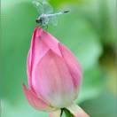 栗宏志-医院智慧服务运营