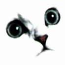 Beverly的头像-日本！日本语